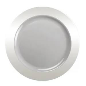 "BULK" Magnificence Heavy weight 10.25" Plastic Dinner Plate Value pack Clear